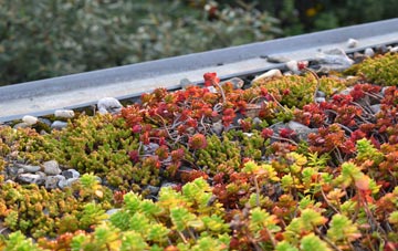 the cost of Covesea green roof installation