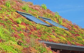 Covesea living roof systems