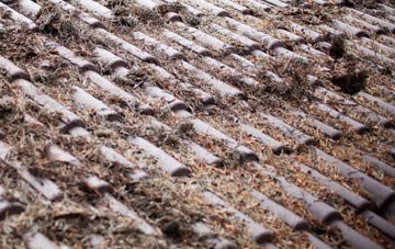 Covesea roof cleaning companies