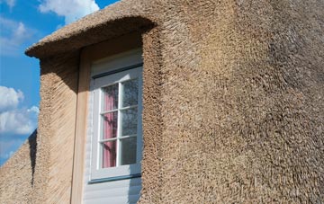 Covesea thatch roof disadvantages