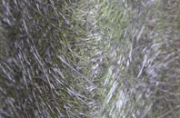 Covesea fibreglass roof work